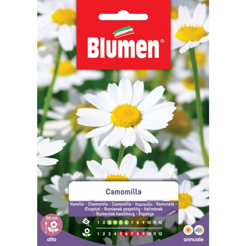 Blumen - Semi di Camomilla Matricharia