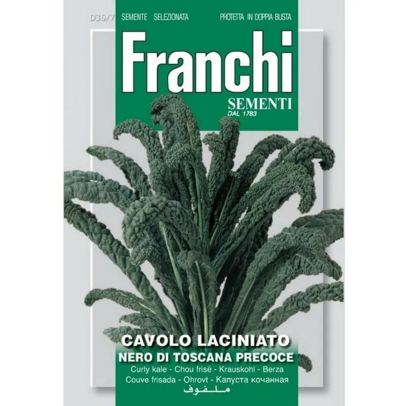 Peragashop - semi cavolo laciniato nero di toscana doppia busta franchi