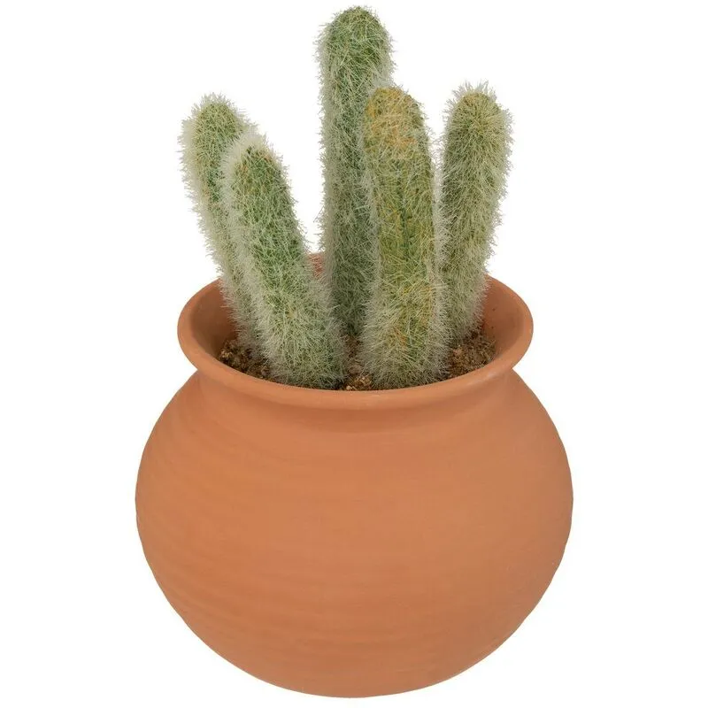 Cactus in vaso alicante in terracotta h16,5cm - Atmosphera créateur d'intérieur - Modello b