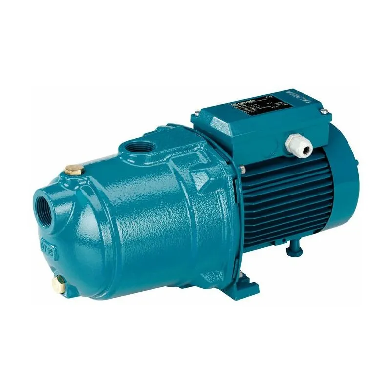 Pompa centrifuga multistadio mgpm 204 silenziosa e robusta Monofase 0,55kW per uso domestico giardino irrigazione di ghisa - Calpeda