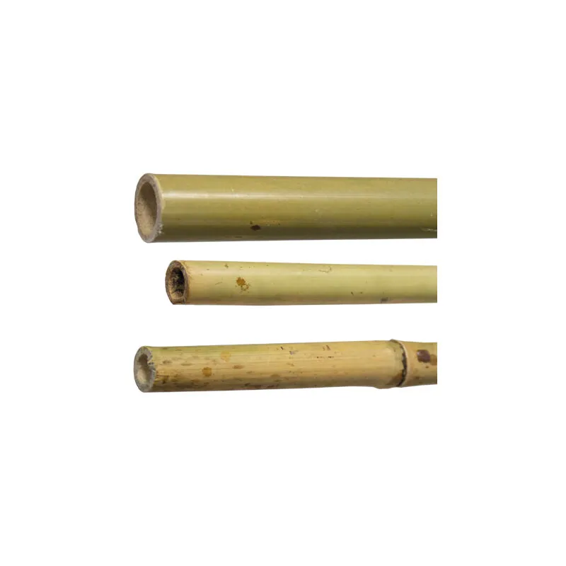 Canne bambu' H180-DIAM 22/24 mm