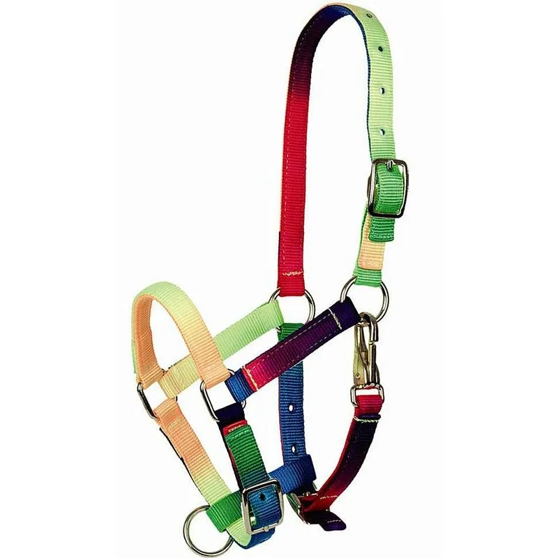 Tattini - Capezza in nylon doppio multicolore da puledro: Puledro, Multicolor 98