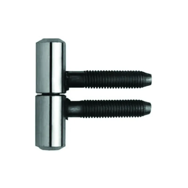 Cerniera anuba in acciaio Inox da 14 articolo 20  intec Colore o Finitura: Inox lucido