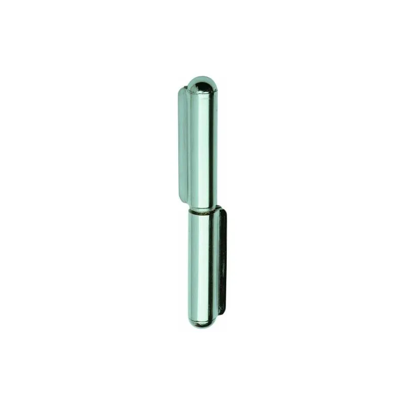 Cerniera perno fisso 1223 in inox a saldare 100 mm 5 pz