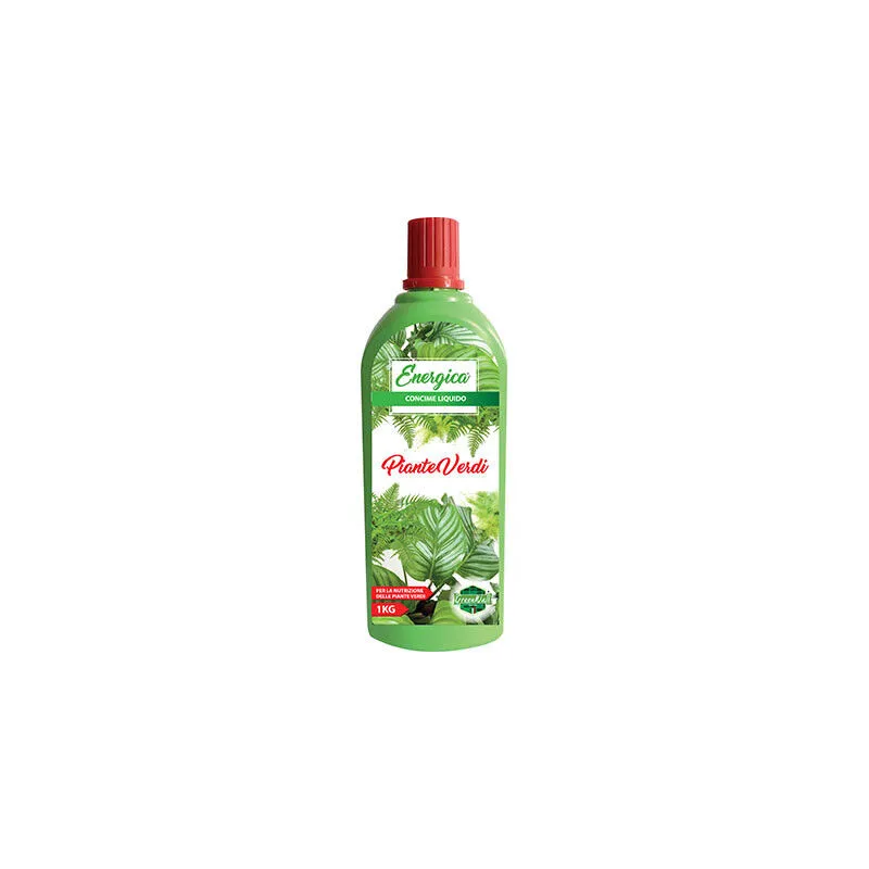 Concime liquido piante verdi energica • kg 1