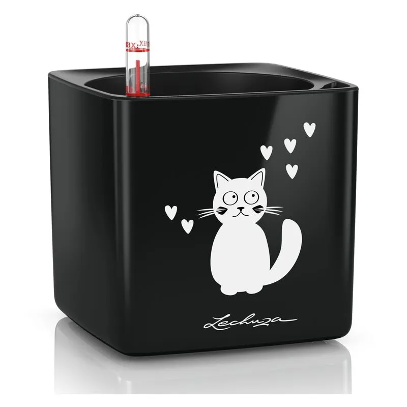 Vaso da interno cube Glossy cat 14 cm - Nero - Nero