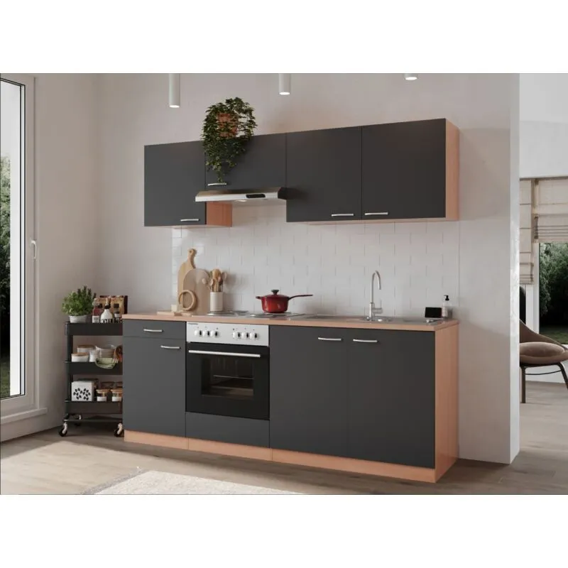 Cucina blocco cucina blocco cucina cucina componibile faggio grigio Gerda 210 cm Respecta