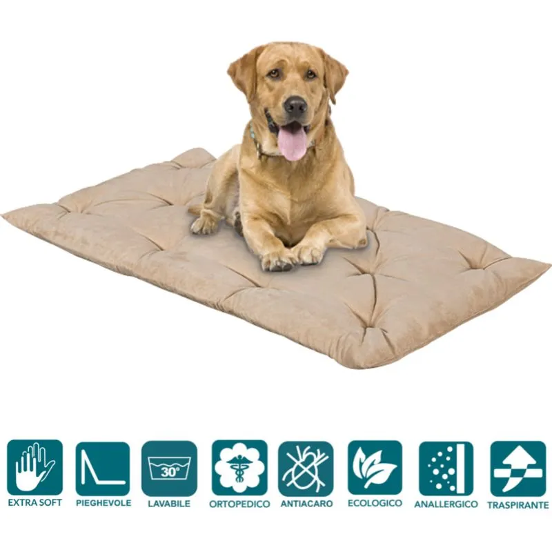 Evergreenweb - Letto per Cani 45x65 alto 8 cm Lavabile Materasso Multiuso per Animali Domestici Cuscino Ortopedico in Waterfoam Cuccia Tappeto Sofa