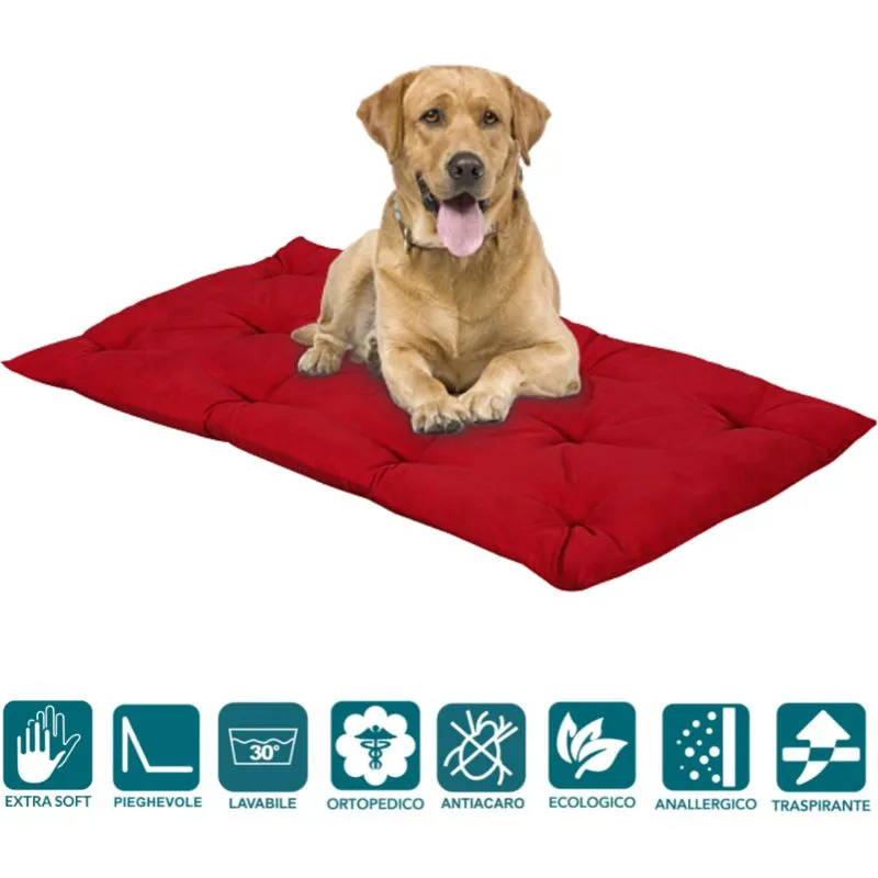 Evergreenweb - Letto per Cani 45x65 alto 8 cm Lavabile Materasso Multiuso per Animali Domestici Cuscino Ortopedico in Waterfoam Cuccia Tappeto Sofa