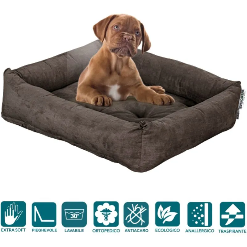 EVERGREENWEB - Letto per Cani 65x85 cm taglia Media, Imbottitura in Schiuma Waterfoam Morbido Lavabile in Lavatrice, Cuccia da Interno con Cuscino