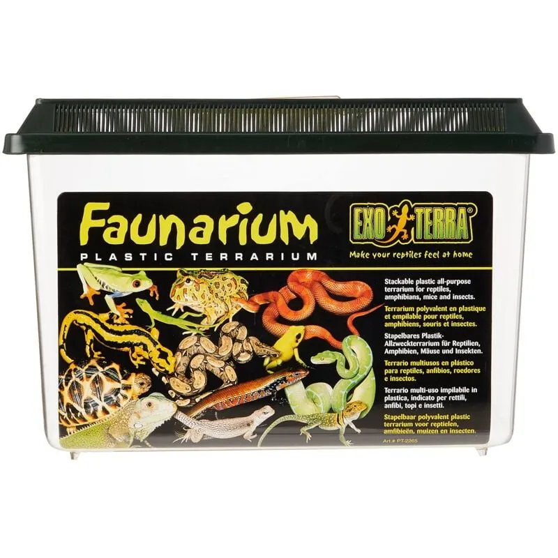 Faunarium, terrario, nero, 37 x 22 x 25 cm - 