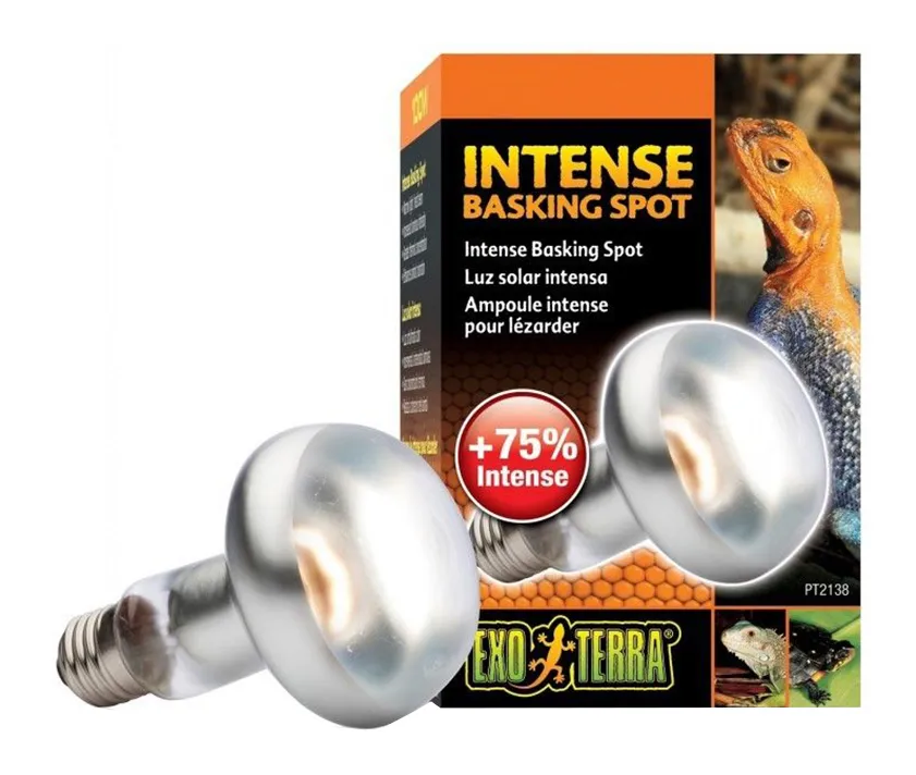 Exo-terra - ExoTerra PT-2135 Intense Basking Spot 50W - lampada per terrari a luce concentrata