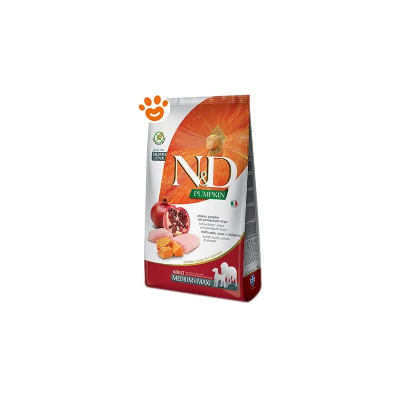 Dog N&D Pumpkin Adult Medium Maxi Pollo, Zucca e Melograno - Sacco Da 12 Kg - 