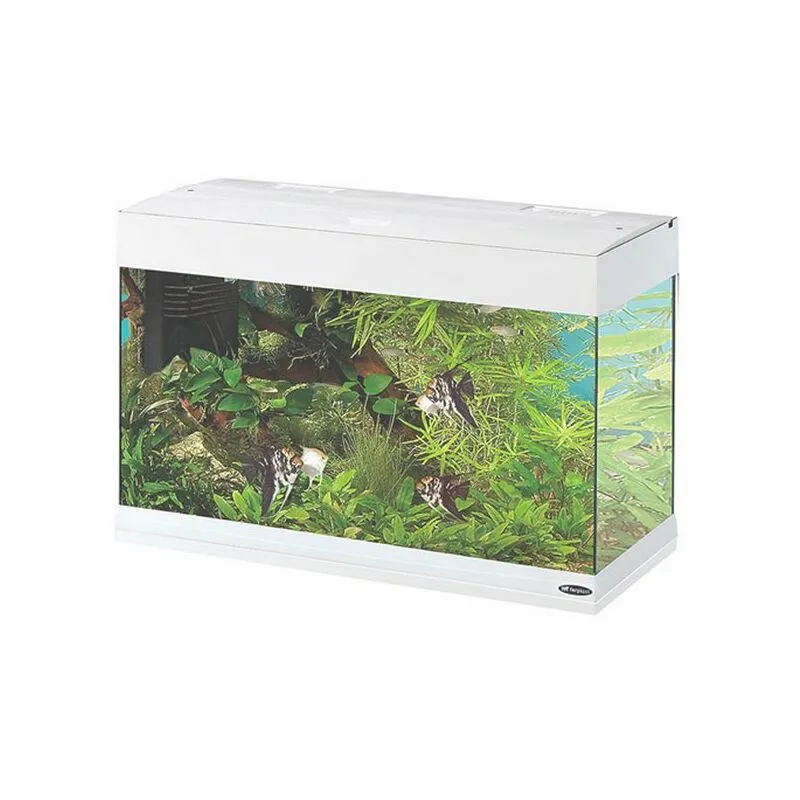 Ferplast - Acquario Dubai 80 Led bianco White 125lt con allestimento dolce