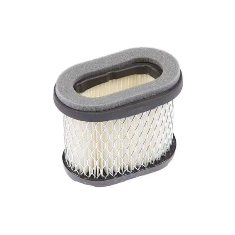 Briggs&stratton - Filtro dell'aria Briggs e Stratton 697029