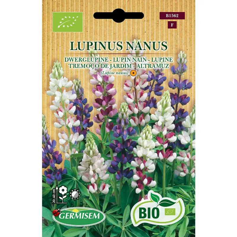 Germisem Biologico Lupinus Nanus Semi di Lupino 1 g