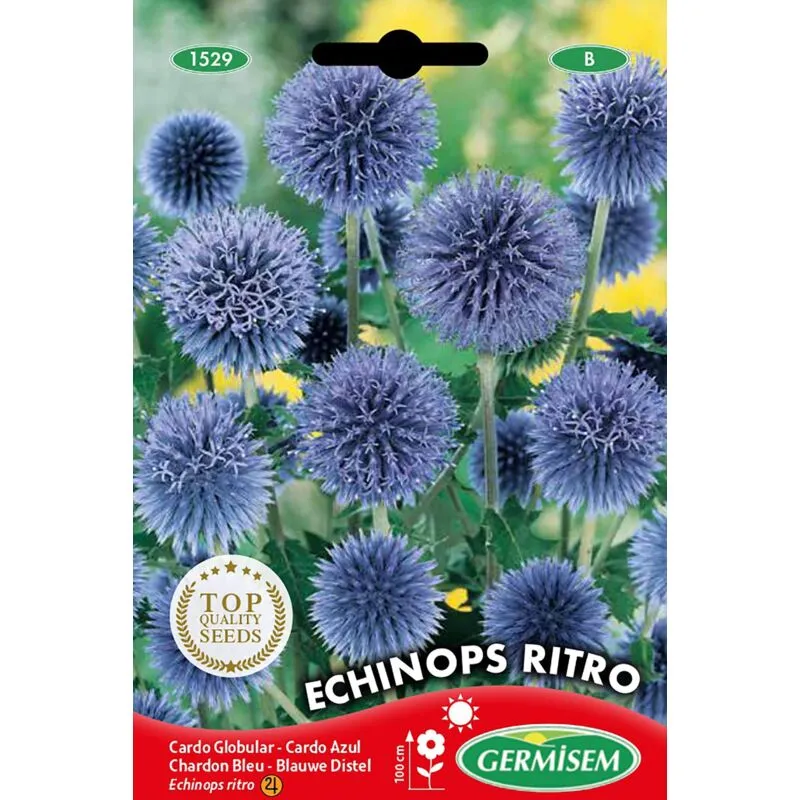 Germisem Echinops Ritro Semi di Cardo 0.5 g