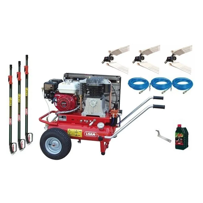 Kit Raccolta Olive Lisam Professional LM201 3 abbacchiatori e compressore Honda gx 200