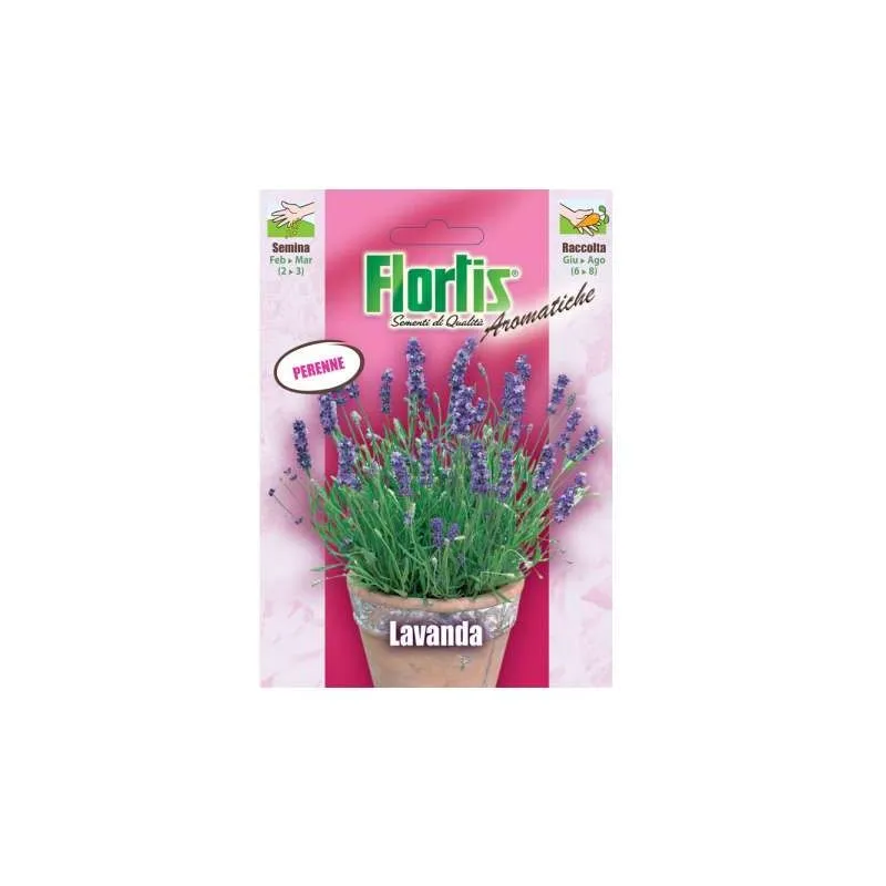 Flortis - Semi di Lavanda in busta