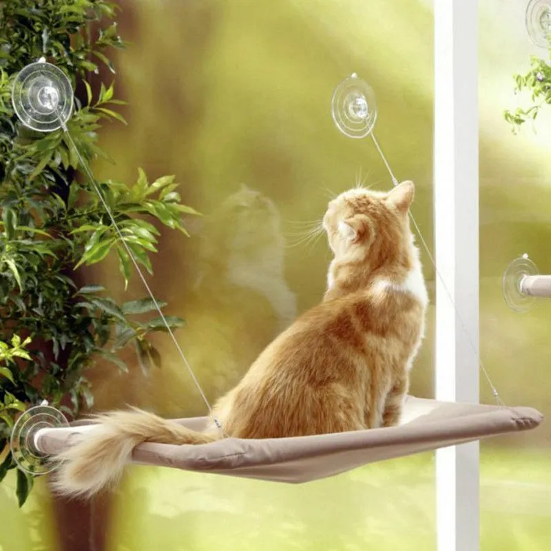 Shop-story - letto per gatti : Amaca da finestra per gatti