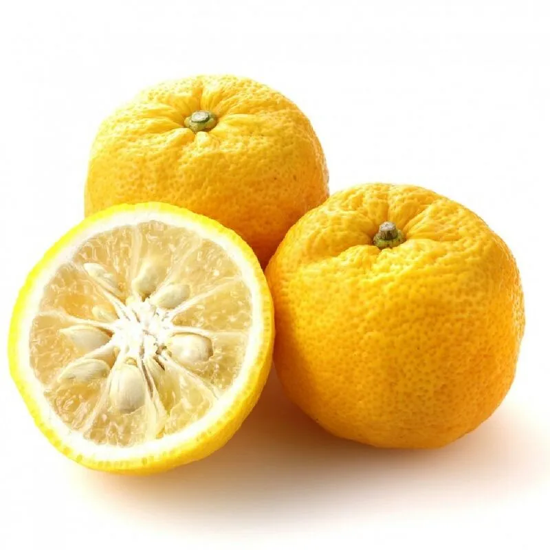 Amdgarden - Pianta limone yuzu Citrus Junos Giapponese in vaso 20 cm h60/80cm foto reale