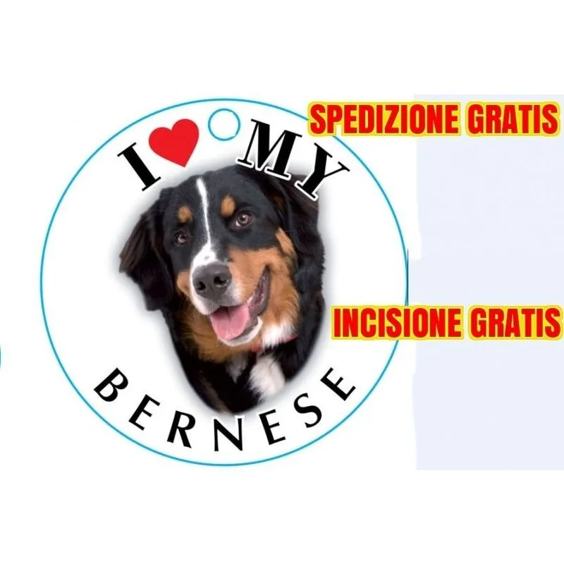 AZ - Medaglietta per cane bernese spedizione incisione gratis