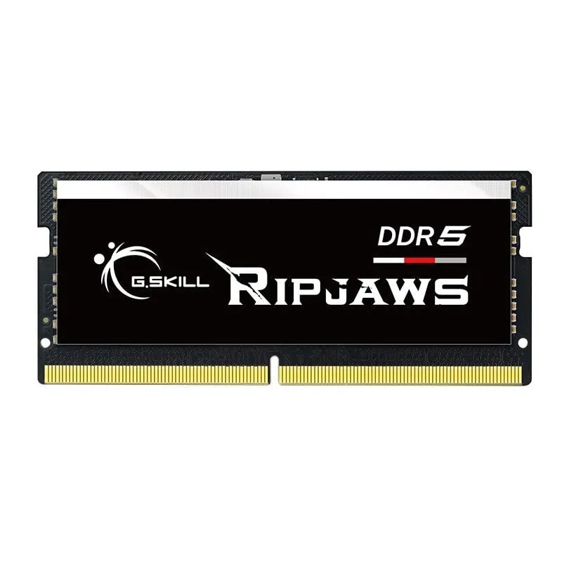 Modulo di memoria G.skill Ripjaws F5-4800S3434A16GX1-RS 16 gb 1 x 16 gb DDR5 4800 MHz