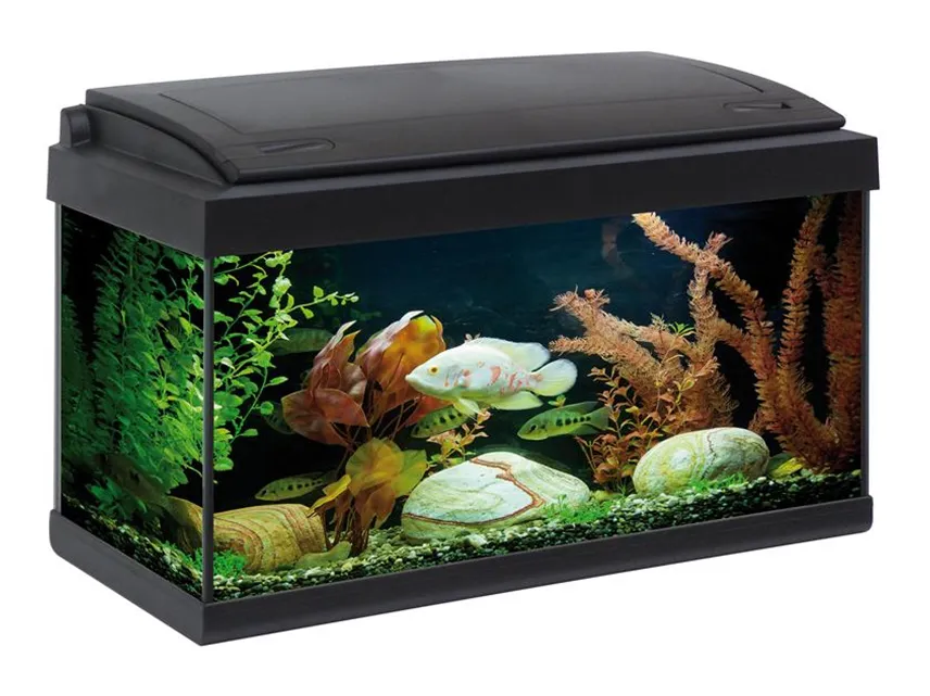 Mtb Acquari - mtb Milo 60 Ledline Nero - Acquario 57L cm60x30x40h