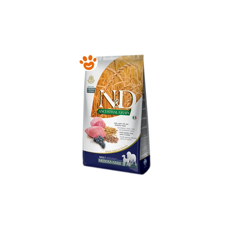 N&d  - Ancestral Adult Medium - Maxi all'Agnello e Mirtilli - Confezione: 12 kg