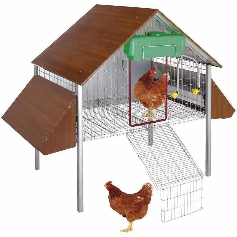 Ponedero per Galline 162 x 100 x 135 cm per 8-10 Galline. Contiene Mangiatoie, Abbeveratoi e Vassoio Raccoglitore