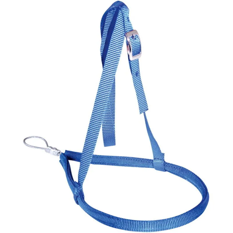 Sartore - Nose band in nylon con anima in acciaio - blu