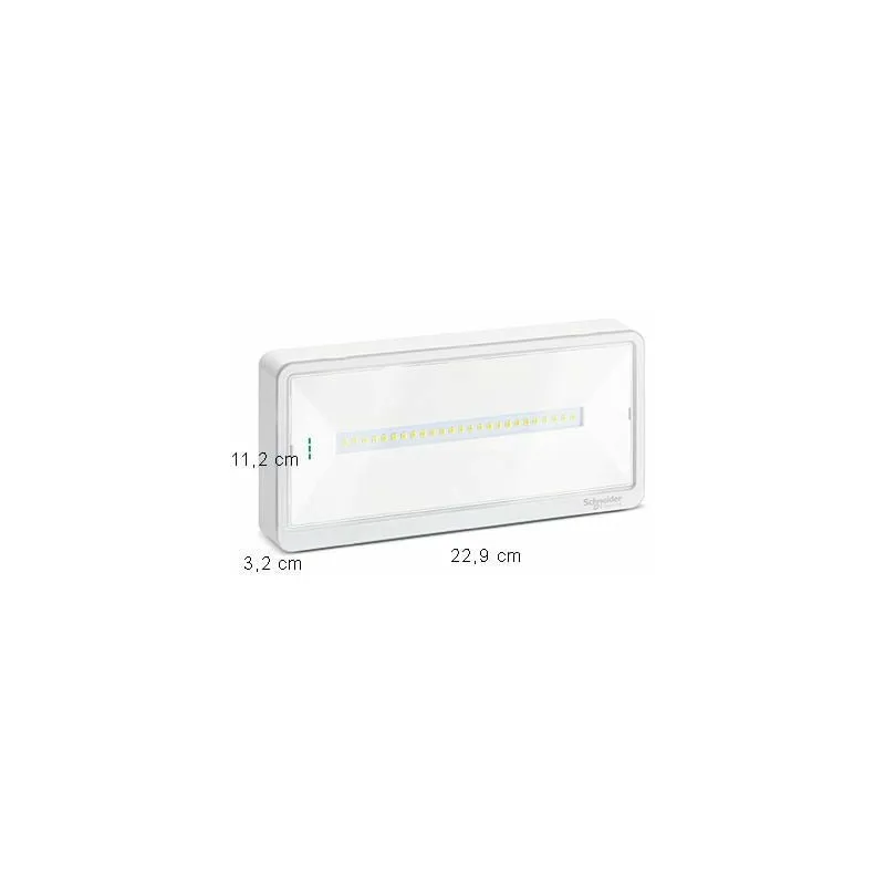 SCHNEIDER OVA44012 - Exiway Light, IP42, Autoalimentato Standard, SE-SA, 250/200/150/120lm SE, 150lm SA, 1/1,5/2/3h, illuminazione di sicurezza