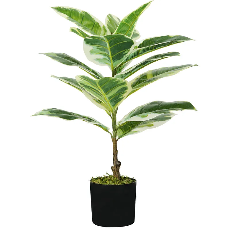 King Home - pianta ficus elastica h. 65 cm 15 foglie completa di vaso con muschio