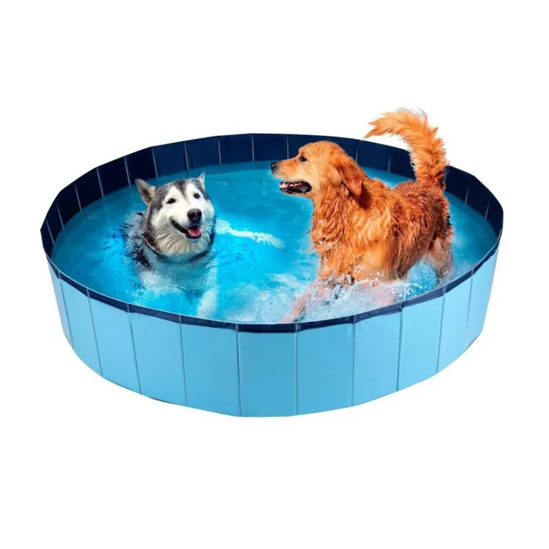 Bakaji - Piscina per cani, Large - 160 x 30 cm