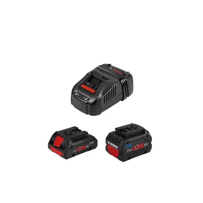 Professional power set (1x18v 4,0ah procore + 1x18v.. 3165140970396 - 