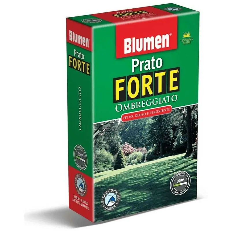 Blumen - prato forte ombreggiato 200GR