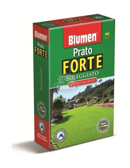 Prato forte soleggiato Blumen 1KG