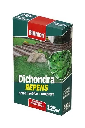 Prato dichondra repens Blumen 500GR