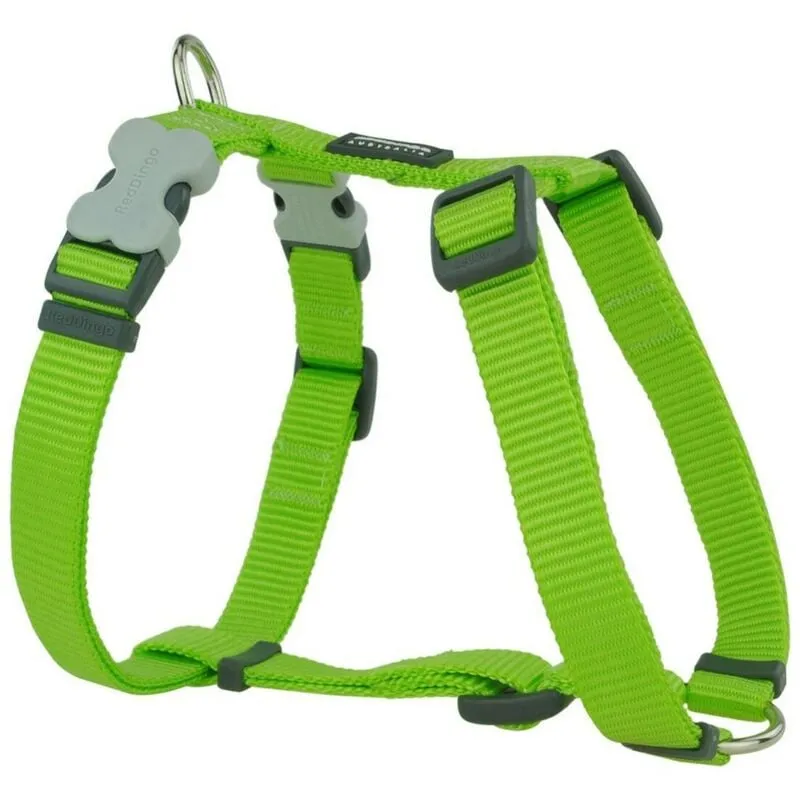 Imbracatura per perroperronet dingo liscio 37-61 cm lime