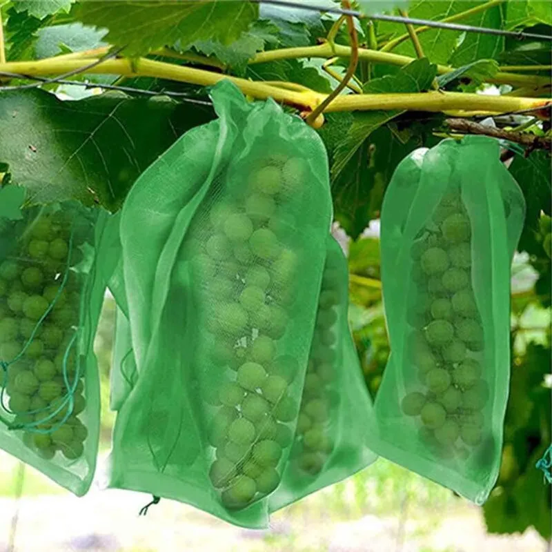 Tonchean - Rete anti-uccelli e anti-insetti, 100 Sacchi Protezione Frutta Sacchi a Rete Protezione Grappoli Uva Contro Uccelli e Insetti Vespe