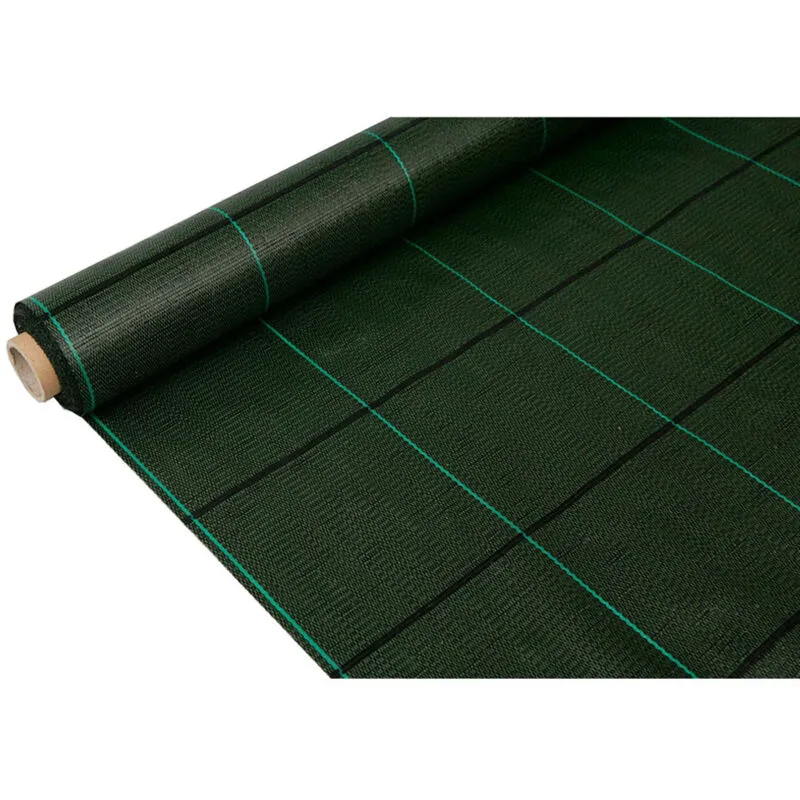 Rete antialga Fun&Go 2 x 25 m Verde 100 g/m² 100 g/m²