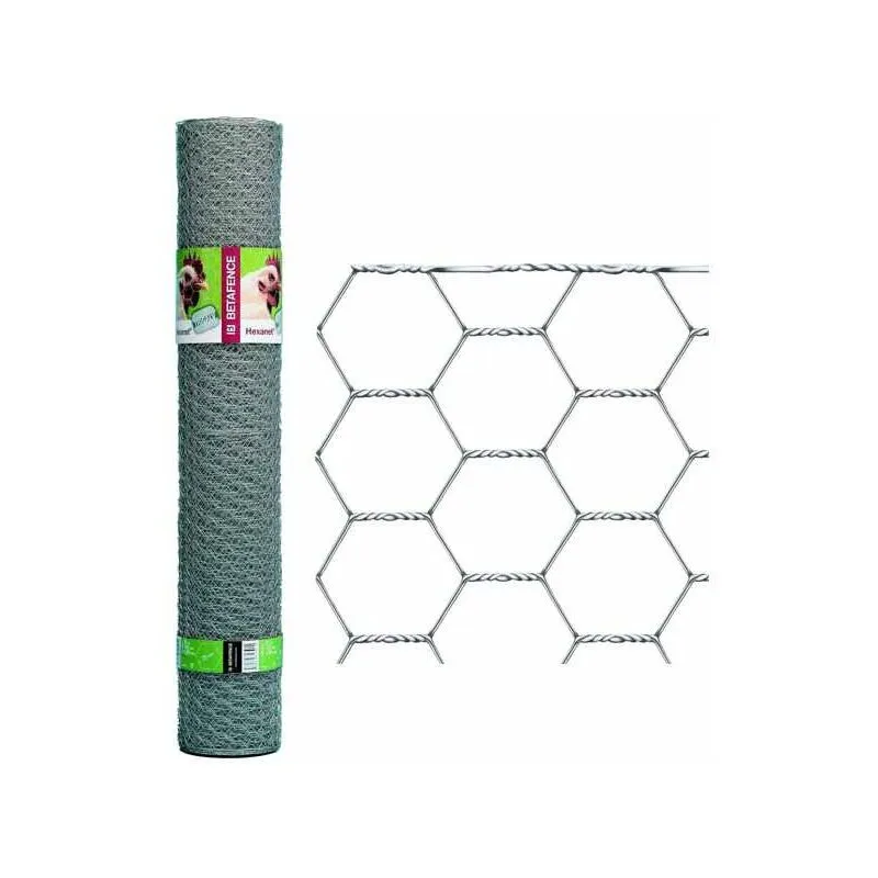 Rete Hexanet 13/2 h 50 m 10  fence