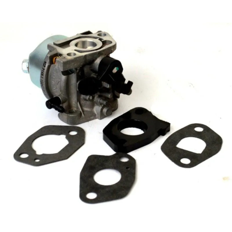 Ric.papillon - Rasaerba 95481-95482-93896-93897 Carb. P.97-98-99-100