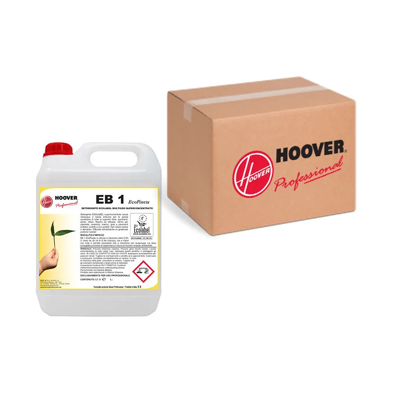 Hoover Professional - Scatola 4 taniche EB1 Ecopineta Detergente superconcentrato