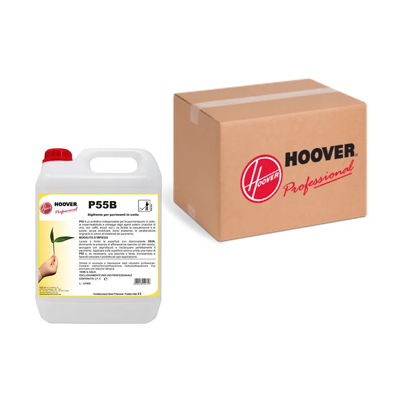 Hoover Professional - Scatola 4 taniche P55B Sigillante per cotto