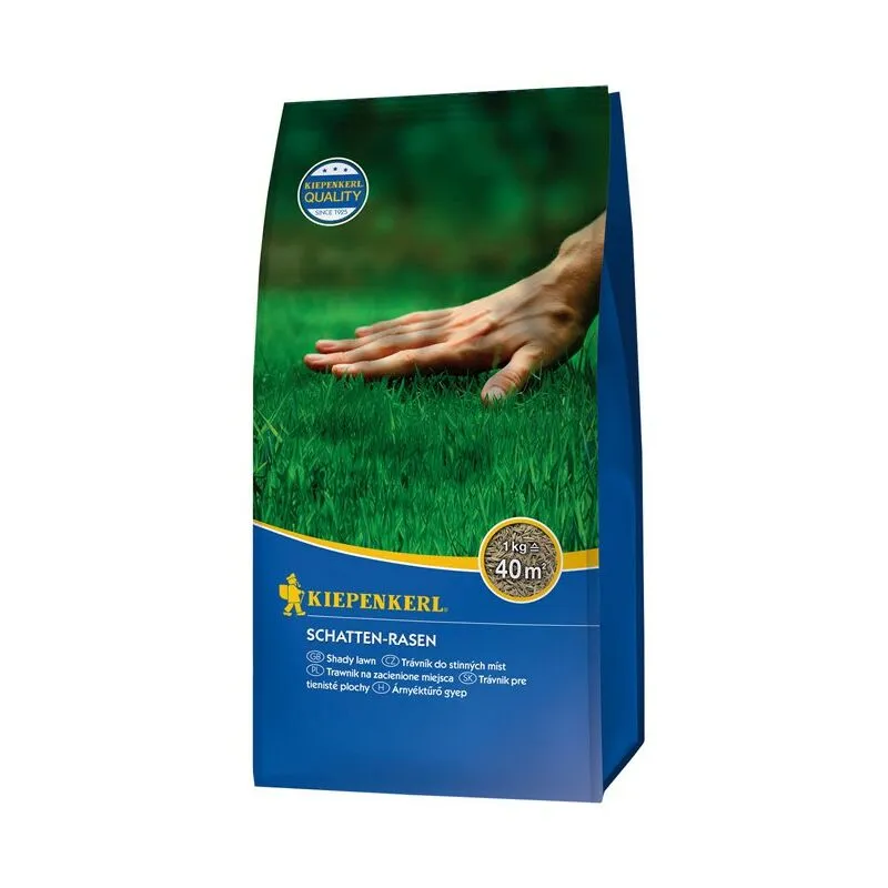 Seed Speciale Erba Ombreggiato Zona 1 Kg