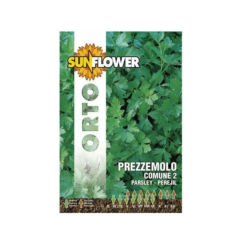 Sunflower - Sementi Prezzemolo Comune 2