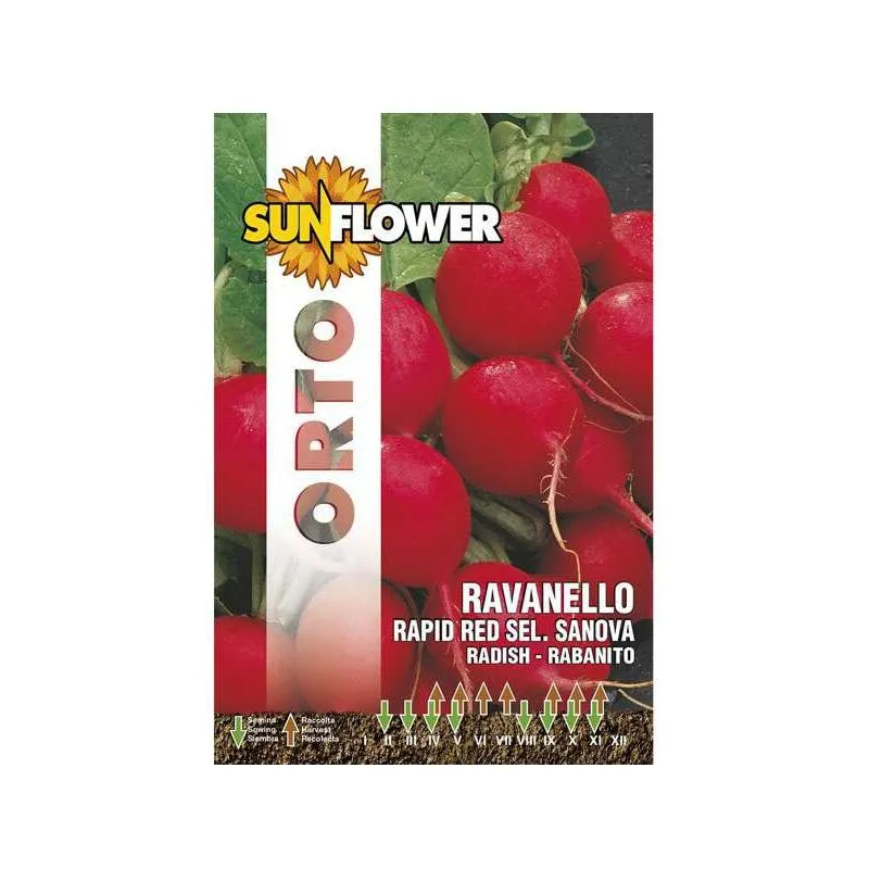 Sunflower - Sementi Ravanello Rapid Red