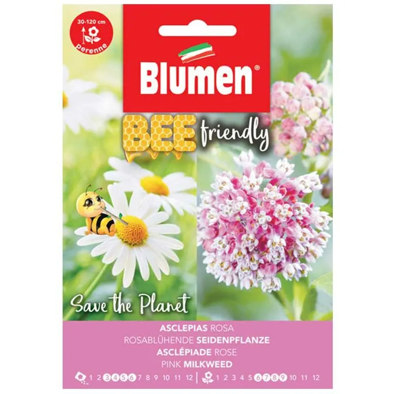 Blumen - semi asclepias rosa