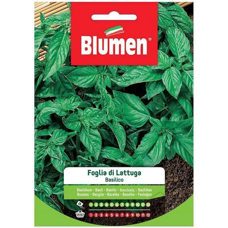 Blumen - semi basilico foglia lattuga